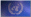 International version